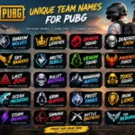 unique team names for pubg